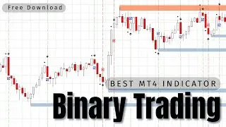Unlock Profitable Binary Options Trading with This MT4 Indicator | Live Session & Strategy Insights