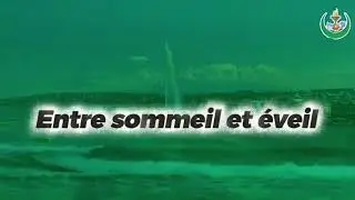 Entre sommeil et &eacute;veil 