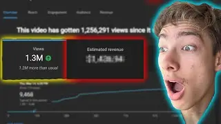 How Much Money YouTube Paid Me for 1.3 Million Views...