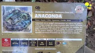 Petite Visite Du ZOO DE GUYANE || AnthOny Off