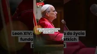Leon XIV: ochrona prawa do życia fundamentem wszystkich praw człowieka @VaticanNews