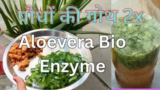 Bio enzyme क्या है?। घर पर Bio Enzyme कैसे बनाएं। Uses and benefit in Hindi