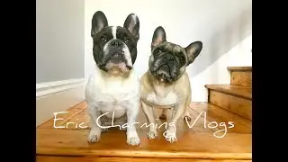 Our first vlog!