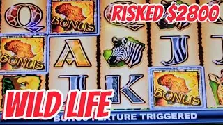 Up to $25 Spins on Wildlife Slot Machine!