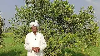 ढोंगी पुजारी ने पहल रेप किया फिर हत्या करके लाश को गढ़ा खोद कर दबा दिया मंदिर के आंगन में कैसे खुली 