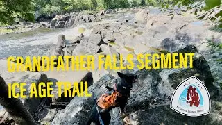 Grandfather Falls Segment & Tug Lake Connector - Adventures with Tula on the Ice Age Trail 🐾💛