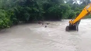 Bomjir