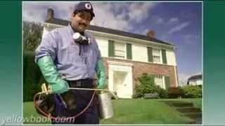 Pegasus Pest Control - W. Sacramento, CA