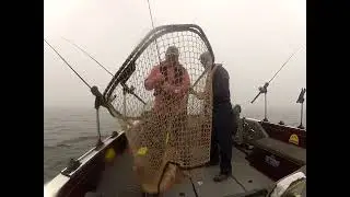 Lake Ontario Walleye...Limestone City Fishing Charters