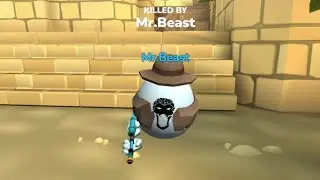 Mr. Beast Trolling the Lobby |  Shell Shockers