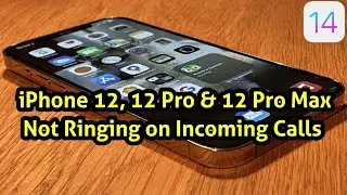 iPhone 12, 12 Pro, 12 Pro Max & 12 Mini Not Ringing on Incoming Calls in iOS 14.2 [Fixed]