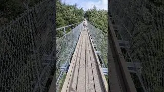 Geierlay Suspension bridge 🌉  Germany #travel #germany #bride #cablebridge #koblenz #europe #explore