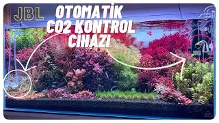 BİTKİLİ AKVARYUM OTOMATİK Co2 KONTROL CİHAZI KURULUMU ! @meinjbl #akvaryum #bitkiliakvaryum