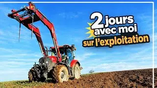 2 jours avec moi sur l'exploitation😈