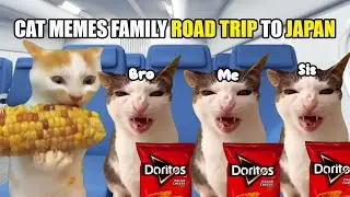 CAT MEMES FAMILY ROAD TRIP TO JAPAN