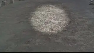 Cairo looking to protect oldest fossil forest ever discovered