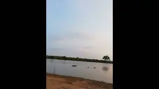 Sunset Dam at Kruger National Park - Excellent spot to see Hippos, birds and crocodiles..