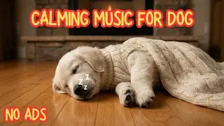 Dog Anxiety Relief Music 🐶🔥 Cozy Fireplace Ambience for Deep Sleep
