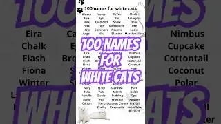 100 white cat names for white cats 🤍🐈 #nameideas