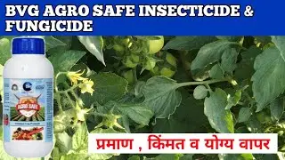 BVG AGRO SAFE INSECTICIDE + FUNGICIDE | BVG AGRO | Bvg Agro Safe