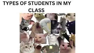 Types of students in my class.