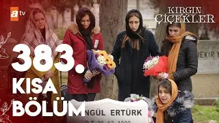 Kırgın Çiçekler Özel Kısa Bölümler | 383