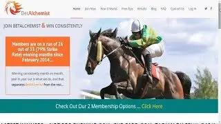 A Simple Horse Racing System-A Horse Racing System That Is Simple