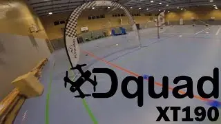 Dquad is ripping the Gym // XT190