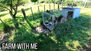 My dog is broken...    - he's not an ambi-turner -