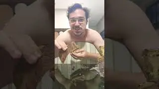 Unboxing Panettone Haoma de Chocolate