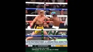 Logan Paul goes Crazy, Mayweather saved by the bell