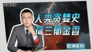 一颗小小的郁金香，是怎么让荷兰失去海上霸主地位的？