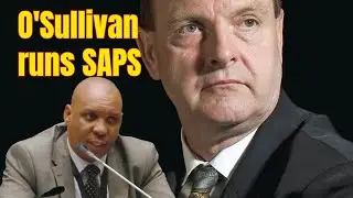 О'Салливан, Макбрайд, Afriforum и журналисты замышляли отстранение Фахлейна от власти &mdash; Нкабинде