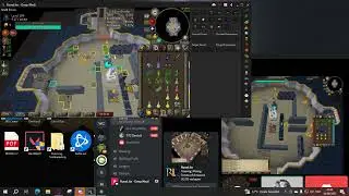 Toa bug