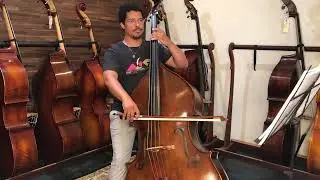Marlon Martinez - V Schaeffer Pernambuco French Bow