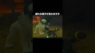 ブラッキーとアブソルと戯れ #newポケモンスナップ #ポケモン
