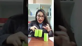 Portalapiceros de dinosaurio