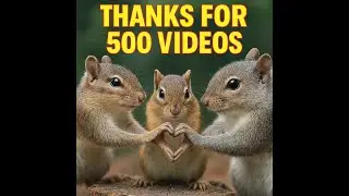 Wildlife Cam Live | Squirrels of the Blue Ridge | Rain Expected