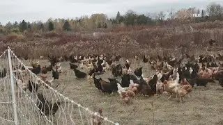 Mainers vote 'YES' on the constitutional right to food