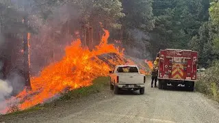 California Fire News: Brush Fire Prompts San Diego Residents to Evacuate