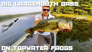 Fishing for BIG Largemouth Bass with Topwater Frogs in Northern Wisconsin (8-3-2025)