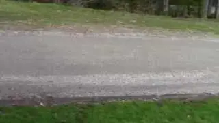 What is the best gravel for driveways and paths? Peninsula Landscape Supplies