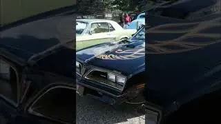 AMAZING CLASSIC CARS AND TRUCKS #car #cars #truck #trucks #classic #classiccars #hotrod #musclecar