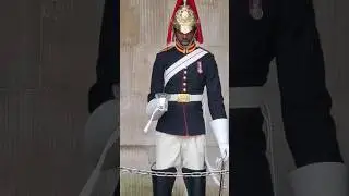 The Majestic King's Guard 🇬🇧 Witness their Impeccable Duty and Stalwart Vigilance #shortsviral