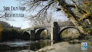 Some Calm From Buckfastleigh