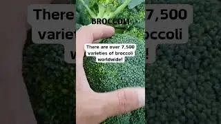 Broccoli Facts #shorts