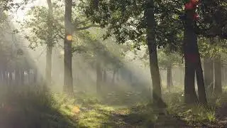 Ave Maria by Caccini (Vavilov) - Trumpet & Organ