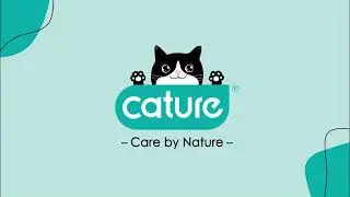 Cature areia do gato do tofu
