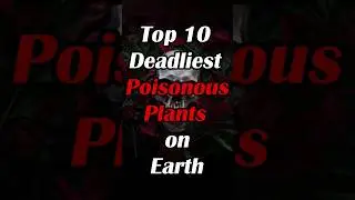Top 10 Poisonous Plants on Earth | #shorts #viral
