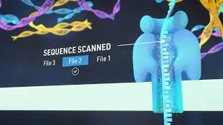 Adaptive Sampling in Nanopore Sequencing - Imperial College London